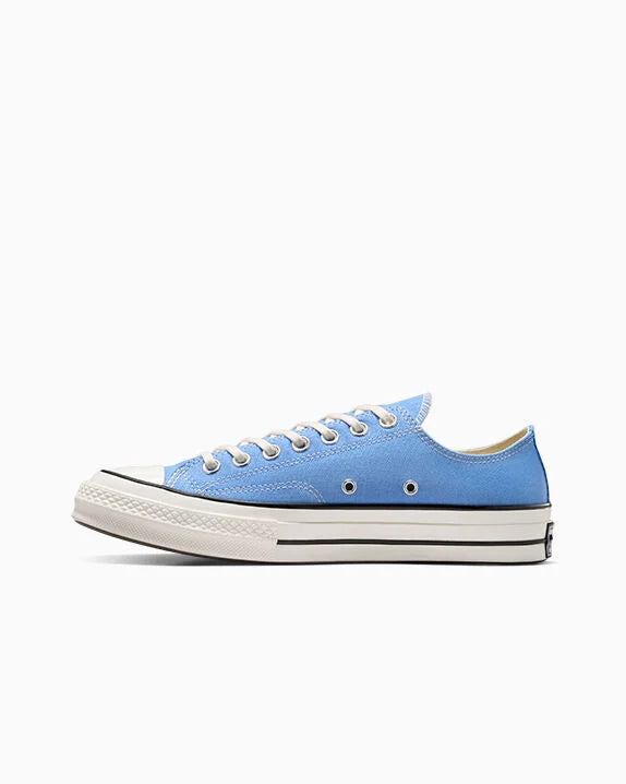 Chuck 70 Low Top Seasonal Swamp Core/Egret/Black
