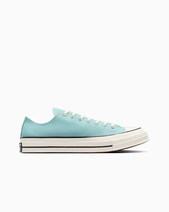 Chuck 70 Low Top Seasonal By The Campfire/Garceta/Negro