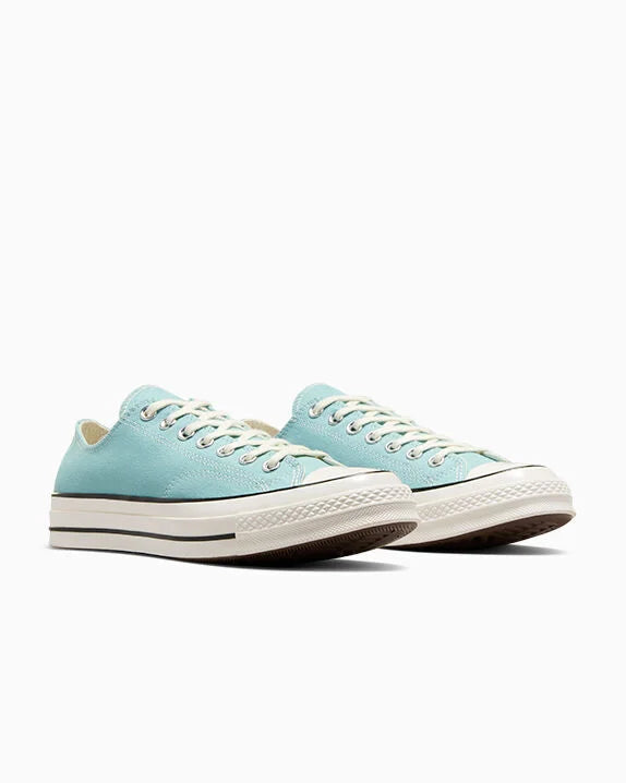 Chuck 70 Low Top Seasonal By The Campfire/Garceta/Negro