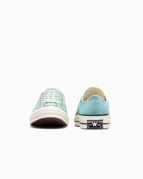 Chuck 70 Low Top Seasonal By The Campfire/Garceta/Negro